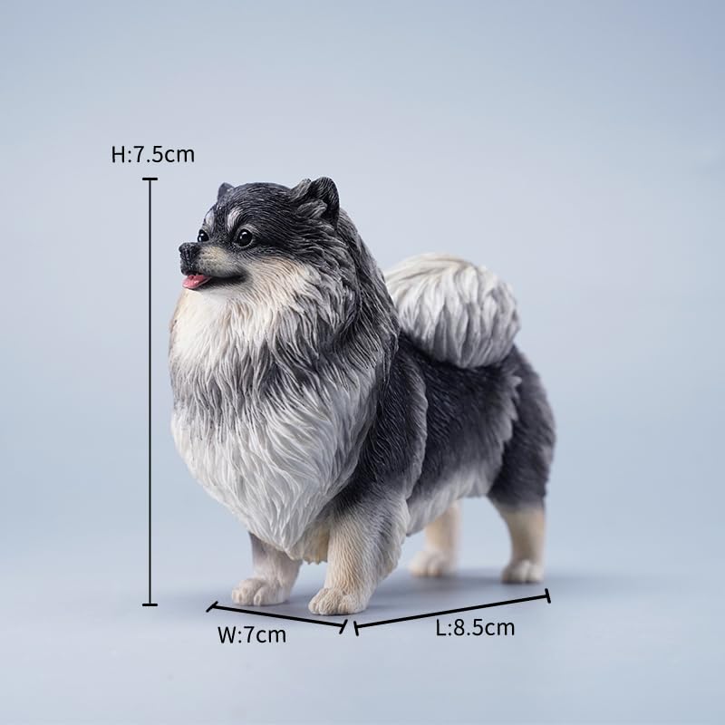 Amazon.com: WLNTDOLA 1:6 Scale Pomeranian Dog Figure Resin Cute