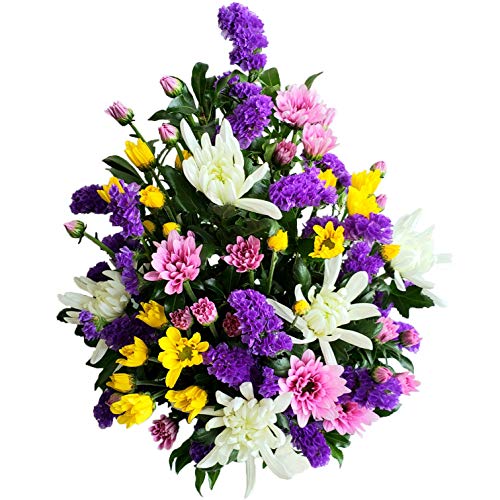 ԋE{X  funeral y ܂e̐F zt[AWg p AWg    AW @ 䋟    ފ V~ ~  @v l\ 