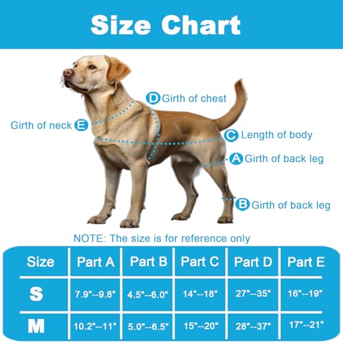 Image of IEhotti Dog Knee Brace for Torn Acl Hind Leg, Dog Leg Braces for Back Leg with Extra Dog Harness, Dog Hip Brace for Cruciate Ligament Injury, Relieves Pain and Better Recovery, Small