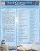 Bible Characters:New Testament (Quickstudy: Academic)