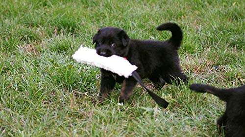 Dingo Gear Beisswurst mit einem Griff Schafe Wolle Plush Naturfarbe 15 cm x 6 cm Apport Training mit Hund S00427
