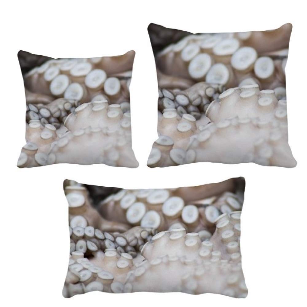 Housse de coussin calmar pour rénover un canapé usé facilement