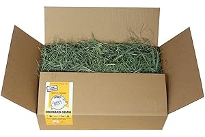 Wholesome Orchard Grass Hay for Small Pets