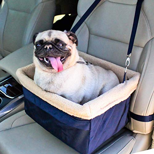 Best Dog Car Seat For Shih Tzu 10Reviewz