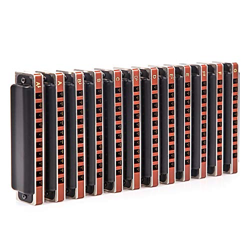 Easttop Harmonica diatonique Blues 10 trous 20 tons 008 K avec étui, plus professionnel pour débutants étudiants adultes… - Les Beatles, Paul McCartney, John Lennon, RIngo Starr, George Harrison Easttop Harmonica diatonique Blues 10 trous 20 tons 008 K avec étui, plus professionnel pour débutants étudiants adultes… – Image 7