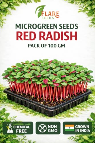 Image of Red Radish Microgreen Seeds, Chemical-Free, Non-GMO, 100 GM Pack with Free One Coco Disk, Grown in India, 7-10 Days Growing Period