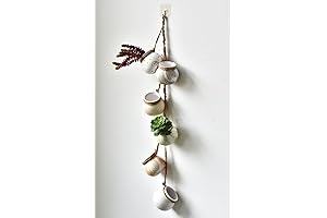 Hanging Succulent Pots: Add a Touch of Greenery to Your Space
