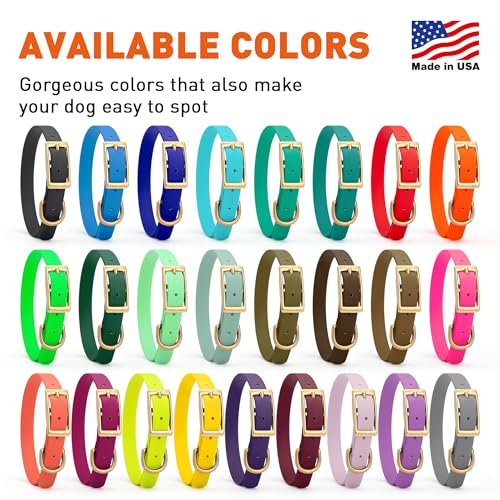 Image of Viper Biothane Heavy Duty Waterproof Dog Collar Strong Coated Nylon Webbing w /Solid Brass Hardware Odor-Proof Easy to Clean High Performance Fits Small Medium or Large Dogs, Hunter Green