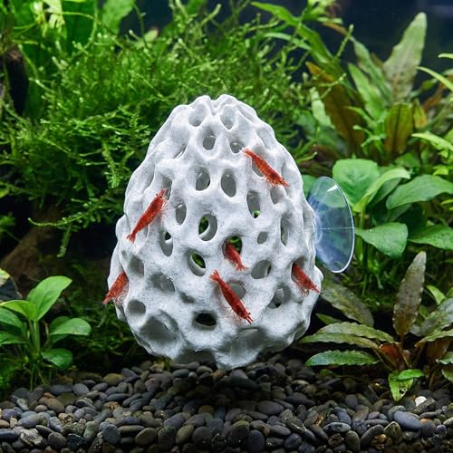 WANTOUTH Xiaohu-Sets