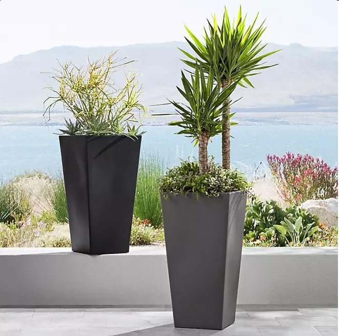 Amazon.com : Member Mark Tall Square Planters for Indoor and
