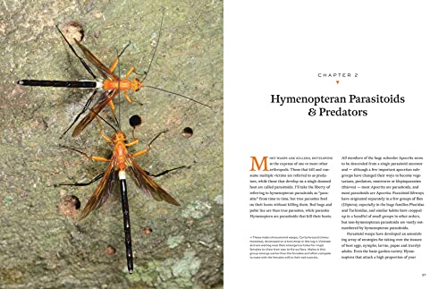 Hymenoptera: The Natural History and Diversity of Wasps, Bees and Ants - Image 2