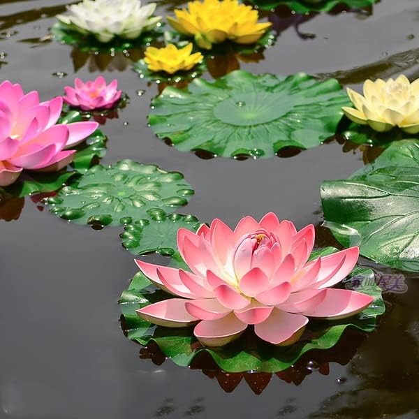 SIXTEEN Rainy Season Flower Seeds Mix color Water lily Plant Seeds for Planting in Water Home Garden, 12 Seeds per Packet (B0CV12ZMV1) Amazon Price History, Amazon Price Tracker