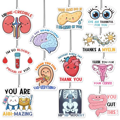 Image of Siifert 36 Pcs Nurse Appreciation Gift Funny Air Freshener Car Scented Thank You Hanging Decor Inspirational Team Thank You Gift for Doctor Healthcare