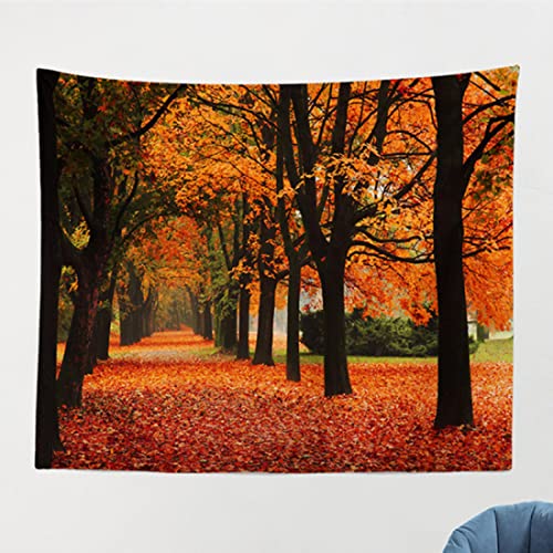 [KMBIGNK] �Ǌ|�� �g�t �C���e���A ���R���i�^�y�X�g���[ ���� ���@�\�Ǌ|�� �t�@�b�V���� ���_���ȃA�[�g �J���[ 150*100cm ���� �z�[���f�R���[�V���� �X �t�@�u���b�N�����p�i �E�I�[���f�R���[�V���� �C���]�� �͗l�ւ� �E�H�b�V���u