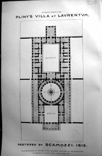 Original old antique victorian print il Professor