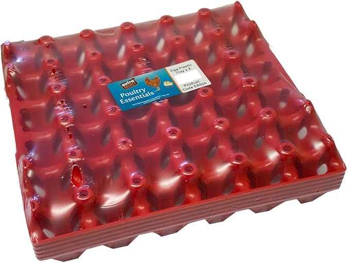 Extra Select 30 Egg Plastic Tray 1 x 5 Amazon.co.uk Business