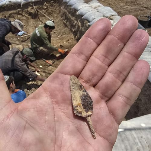 Temple Mount is KEY to Gaza Victory Podcast Por  arte de portada