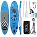 サップボード SUPボード スタンドアップパドルボード 充気式 軽量 高耐久 セット内容 レジャー/釣り/フィットネス用 インフレータブル sup
