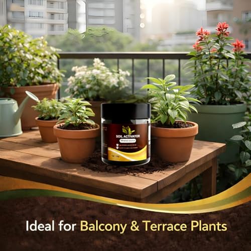 Image of Soil Activated Treasure Plant Growth Booster | Improves Soil Quality & Root Support | Suitable for Indoor & Outdoor Plants | for Pots, Gardens & Home Plants | Easy to Use 100g (Pack of 3)