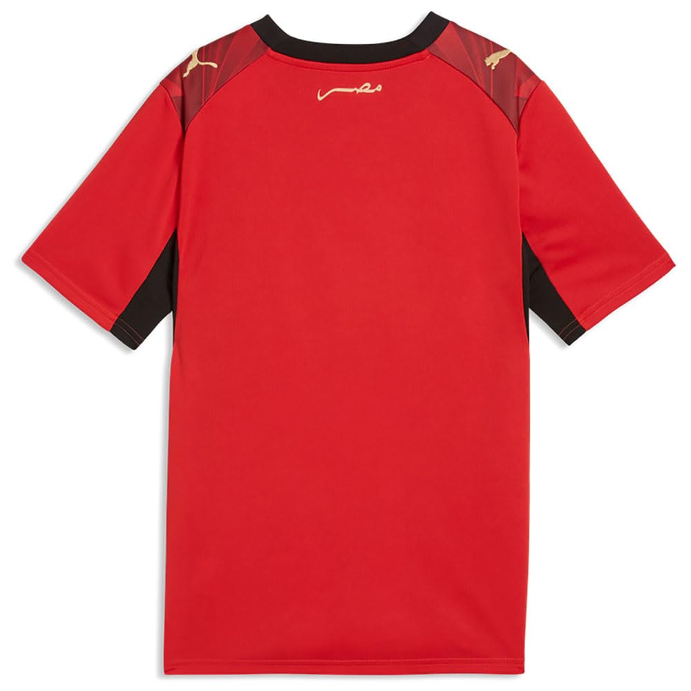 PUMA Bambino EFA Egypt Home Jersey Replica Jr 26