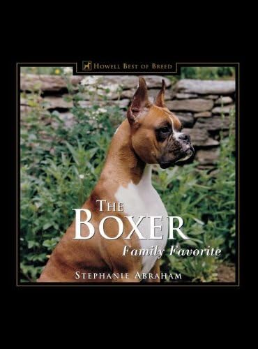 Is A Boxer A Good Family Dog AC SY780