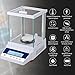 RUISHAN 300g x 1mg Lab Analytical Balance Scale | 0.001g High Accuracy Electronic Scientific Scale Jewelry Gold Scale .001 Digital Gram Weighs Scale Centigram Scale, Calibrated Scale, Chemistry Scale