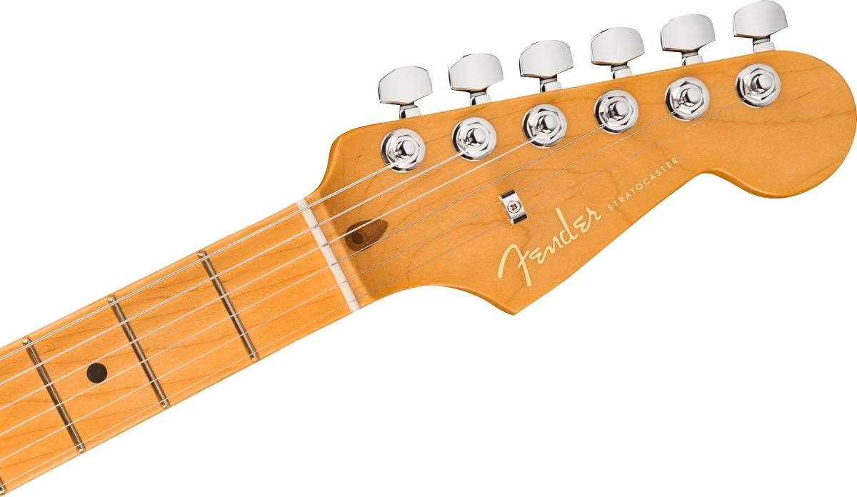 Amazon.com: Fender American Ultra Stratocaster - Cobra Blue