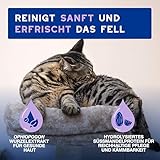 DOUXO Skin & Coat SPA – Ultra-Safe* Trockenshampoo Katze, 150 ml, säubert frischt das Fell auf, hinterlässt das Fell weich, glänzend und angenehm duftend, hautfreundliche Formel