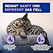 DOUXO Skin & Coat SPA – Ultra-Safe* Trockenshampoo Katze, 150 ml, säubert frischt das Fell auf, hinterlässt das Fell weich, glänzend und angenehm duftend, hautfreundliche Formel