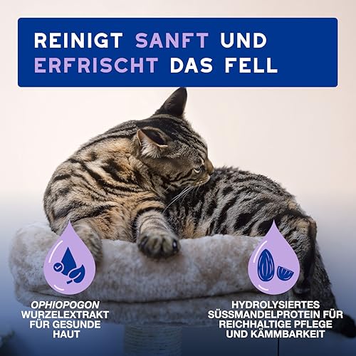 DOUXO Skin & Coat SPA – Ultra-Safe* Trockenshampoo Katze, 150 ml, säubert frischt das Fell auf, hinterlässt das Fell weich, glänzend und angenehm duftend, hautfreundliche Formel