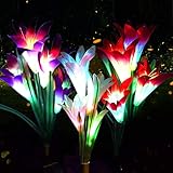 ✿【Cambio de Múltiples Colores】 Las luces solares de flores de lirio con 4 LED pueden cambiar 7 luces de colores, creando una atmósfera romántica y elegante alrededor de su jardín, cerca, camino.
