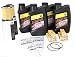 Sea-Doo Spark Oil Change Kit, Oil Filter, O-Ring & NGK Spark Plugs 2 Pack