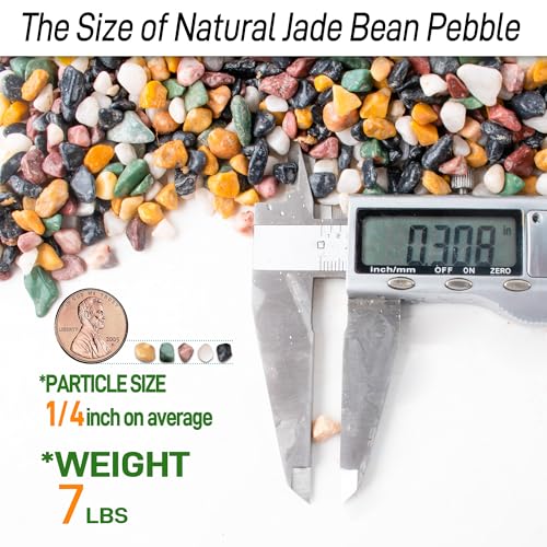 Image of CJGQ 7lb Aquarium Gravel for Plants, 1 /4Inch Fish Tank Gravel for Succulent Cactus and Bonsai, Decorative River Rocks Pebbles for Gardening, Flower Pots, Landscaping,Terrarium