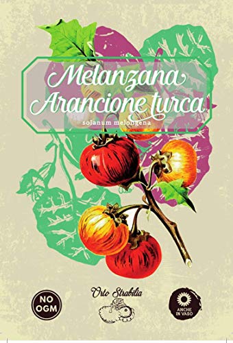 melanzana turca,solanum melongena,gr 0.1,semi rari,semi strani, orto strabilia
