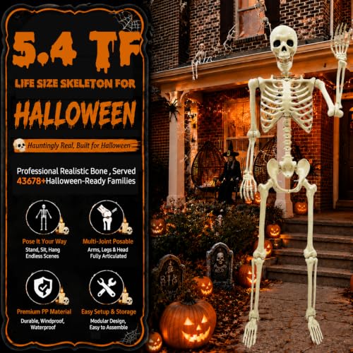 Image of NLShan Life Size Skeleton for Halloween: 5.4ft Human Anatomy Skeleton
