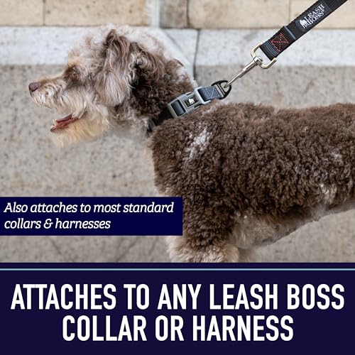 Leash Boss 10 Foot Dog Leash with Padded Handle - Long Leash for Hiking, Camping, Exploring, or Walking (10 Feet, Black/Red/Grey) - Image 8