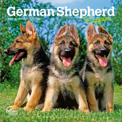 German Shepherd Puppies | 2027 7 x 14 Inch (Hanging) Monthly Mini Wall Calendar | BrownTrout | Animals Dog Breeds Puppy