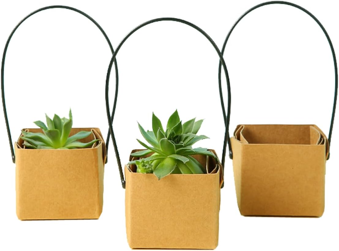 20Pcs Square Succulents Wraps Gift Bags Kraft Paper Succulent Decoration Sleeve Succulent Gift Baskets with Plastic Handle Plant Gift Box Fits 3 Inch Pots for Home Decor Gift Party Wedding Favor - Image 6