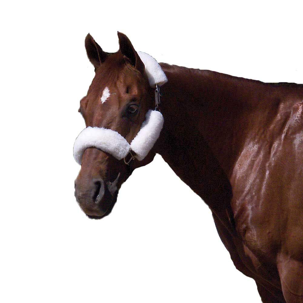 Toklat CoolBack 4-Piece Halter Tube Set