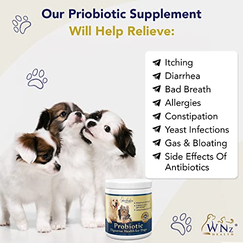 Probiotics For Dogs Digestive Health (Chicken & Bacon) - Dog Probiotic Powder Relieve Diarrhea, Constipation, & More - Veterinary Formula Dog Calming Treats – Maximum-Strength Dog Digestive Support #TOP3