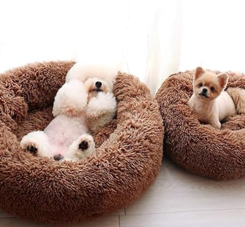 Image of ZEXSAZONE Summer Comfortable Washable and Lightweight on Both Sides usable cat Bed l pet Bed l Puppy Bed for Small and Medium Size cat, Puppy, Dogs pet Bed Brown S Size Season