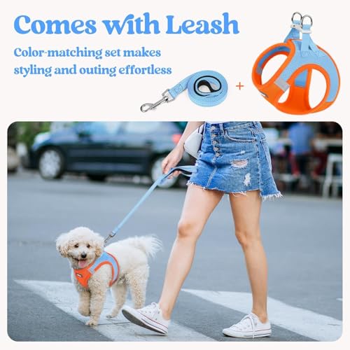 Image of rabbitgoo Dog Harness Medium Sized and Leash Set, Step-in Puppy Pet Vest