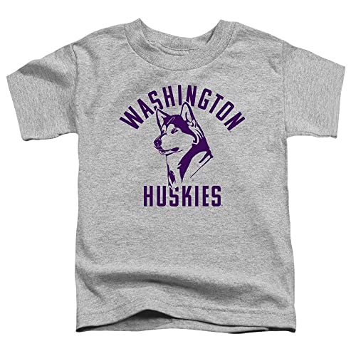 University of Washington Official One Color Logo Husky Unisex Toddler T Shirt,Athletic Heather, 4