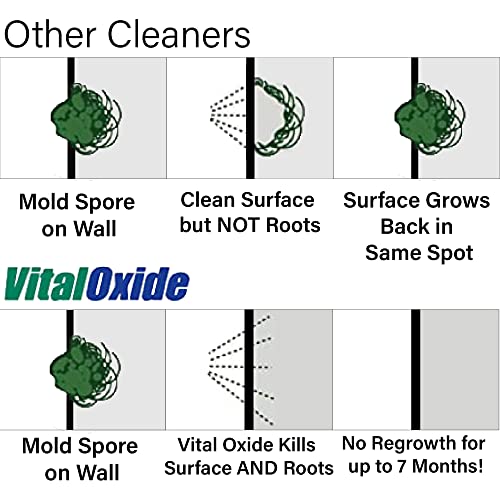 Vital Oxide Disinfectant, Deodorizer, Cleaner, Food-Contact Sanitizer, Virucide – Epa Registered – Kills Mold & Mildew, Eliminates Odors – Free Applicator Mitt, 1 Gallon + 32Oz Spray Bottle #TOP1