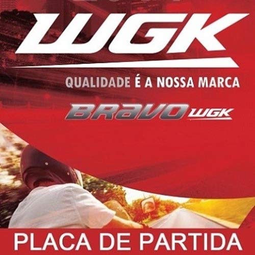 Placa De Partida Fazer/lander 250 Tenere 250 Wgk