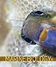 Introduction to Marine Biology