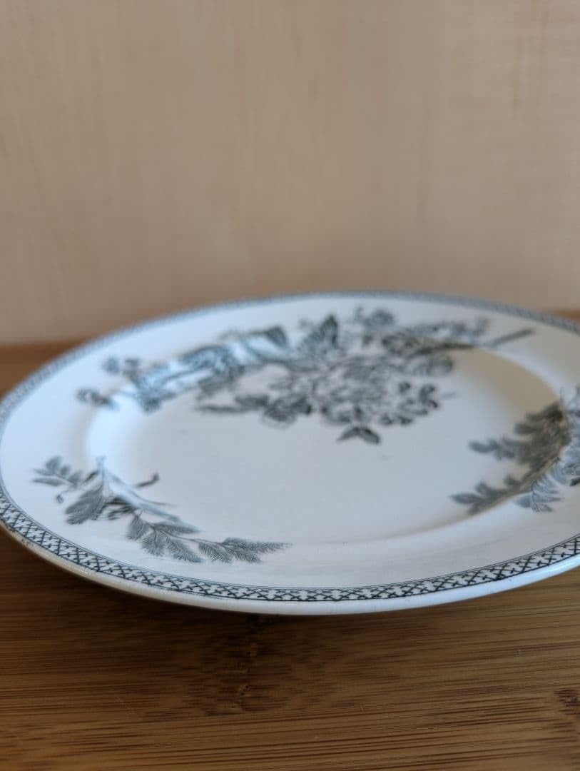 ジアン Gien flore 花柄プレート 22㎝ 2枚 フランス製