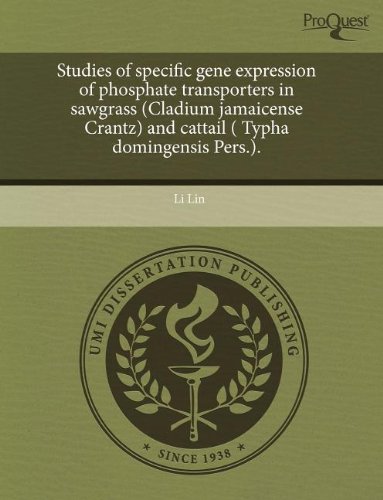 Studies of Specific Gene Expression of Phosphate Transporters in Sawgrass (Cladium Jamaicense Crantz) and Cattail ( Typha Domingensis Pers.)