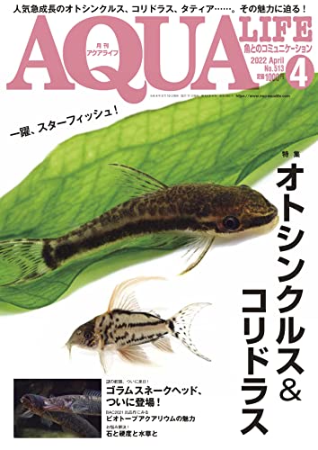 月刊アクアライフ 2022年 04 月号 オトシンクルス&コリドラス