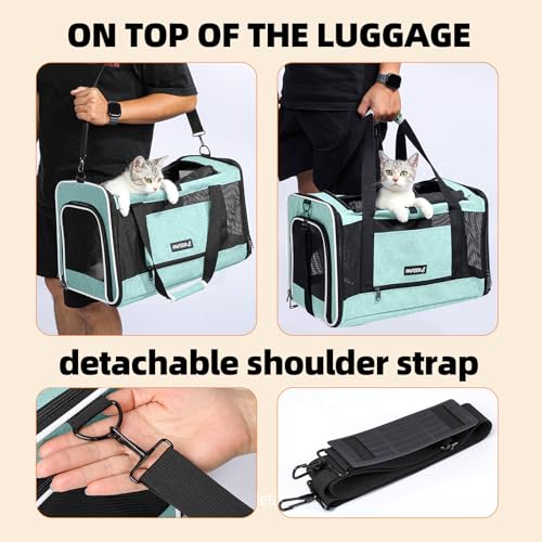 Image of Cat Carrier Soft-Sided 18x11x11 Inch Travel Bag for Medium Cats Over 15lbs, Small Dog Carrier Crate Top Entry Breathable Mesh Puppy 12 Pounds, Pet Rabbit Carrying Cage Kennel Collapsible Teal